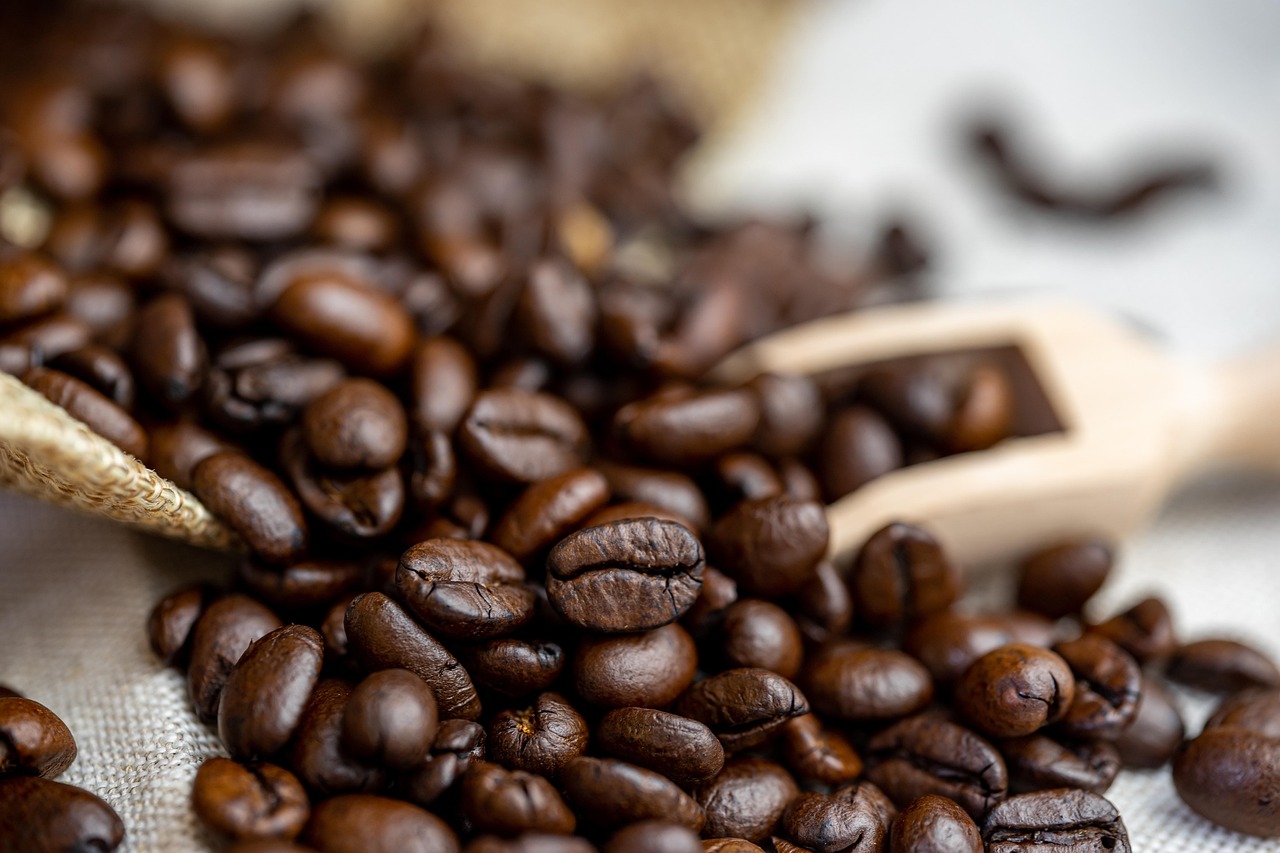 Biji Kopi Termahal Kualitas Premium, yang ada di Dunia!