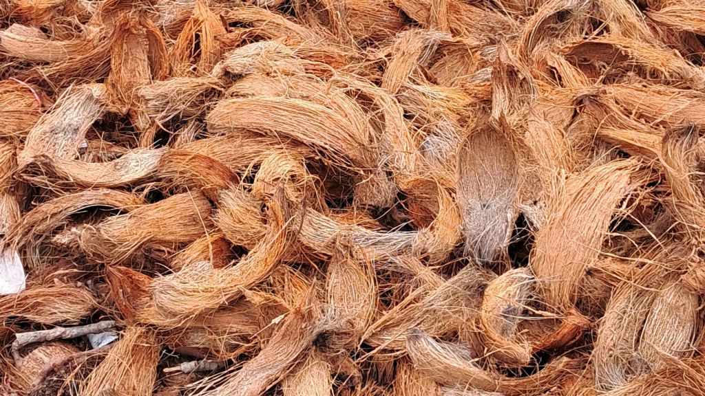 Ide Bisnis Sabut Kelapa Peluang Menguntungkan
