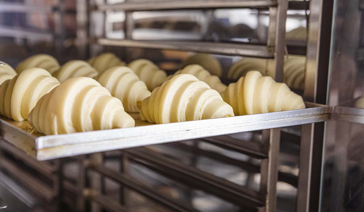 Cara Kerja Proofer Roti : Menghasilkan Roti Empuk dan Konsisten