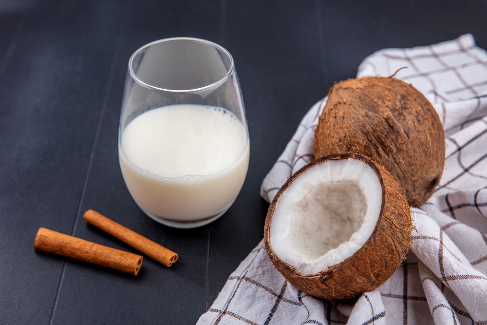 Cara Kerja Mesin Pemarut Santan dalam Efisiensi Produksi Santan