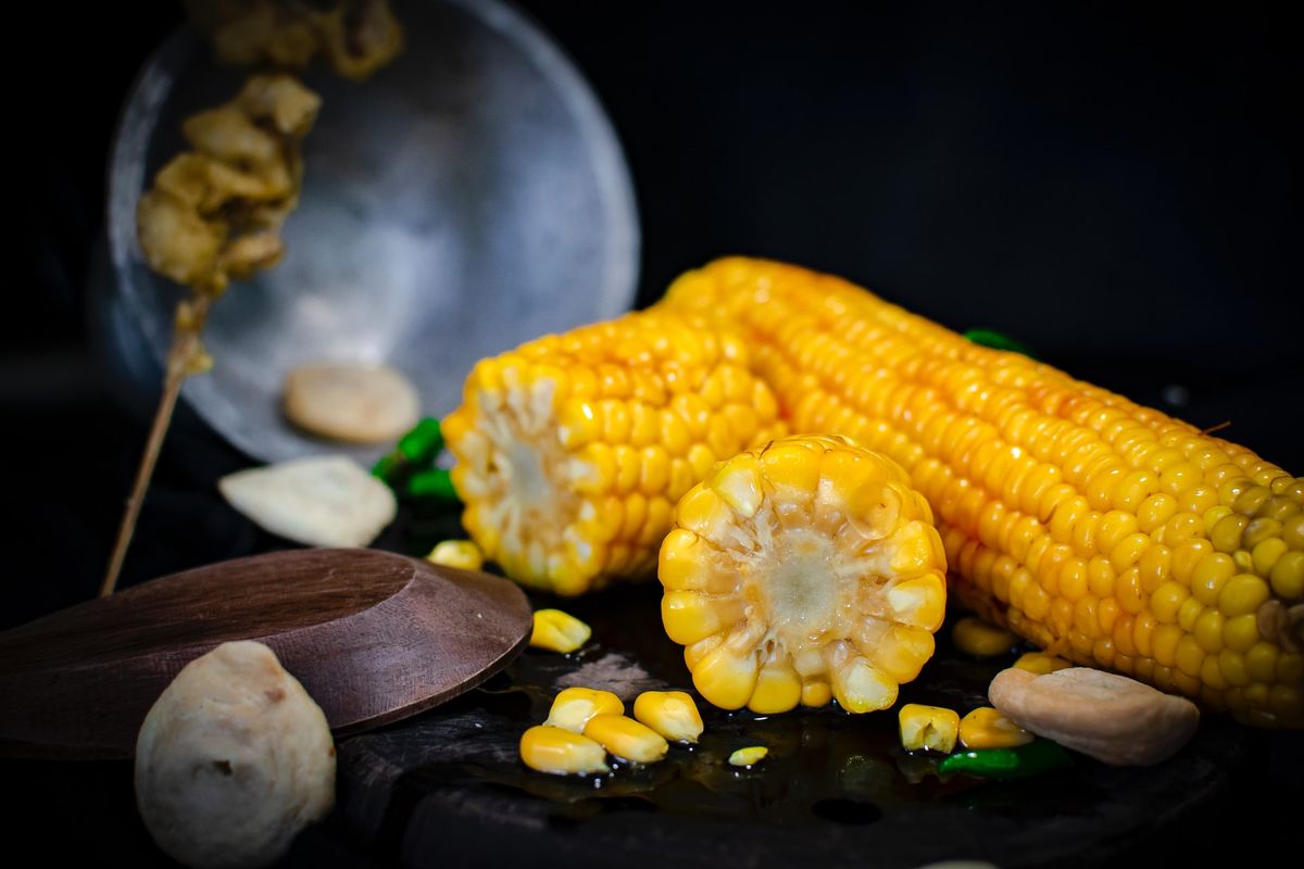 Cara Mengurangi Biji Jagung Rusak agar Hasil Panen Tetap Berkualitas