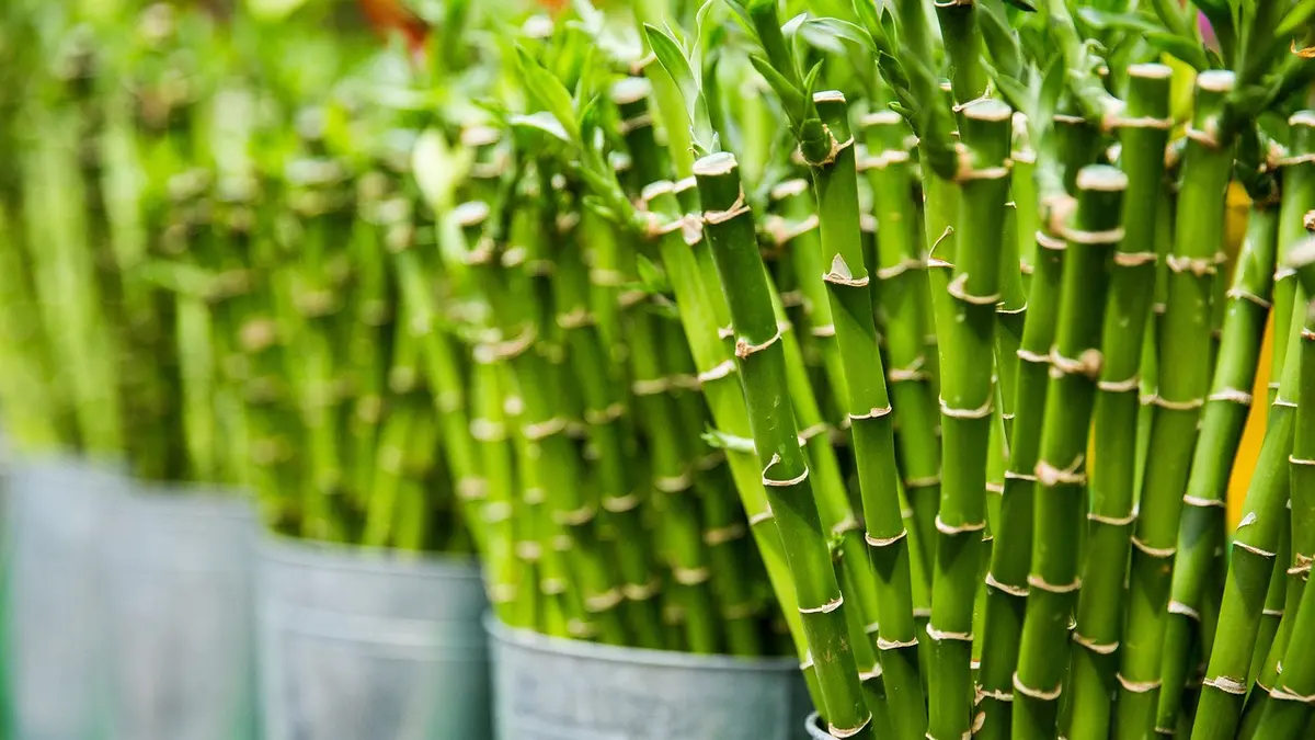 Cara Meningkatkan Produksi Kerajinan Bambu