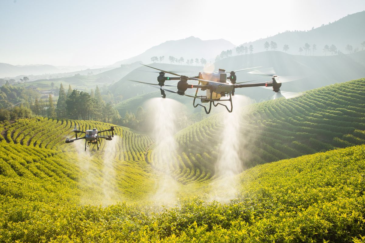 Cara Menyemprot Pestisida dengan Drone untuk Pertanian