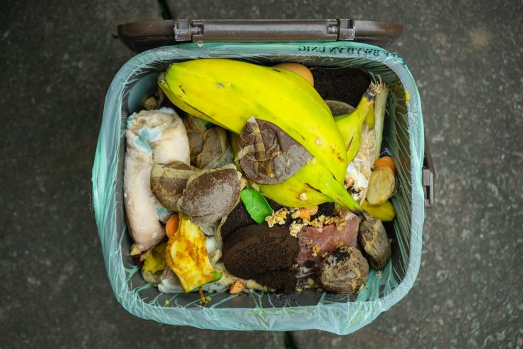 Jenis Sampah untuk Kompos yang Bisa Digunakan
