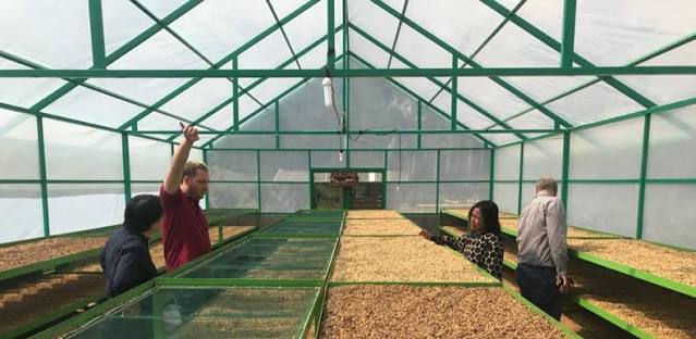 Proses Pengeringan Hasil Pertanian yang Tepat